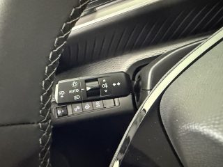Citroën C3 PureTech 100 S&S 6-Gang-Manuell Max